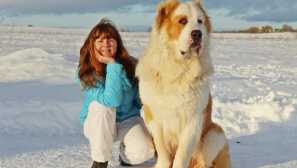 5 Najväčších plemien psov na svete